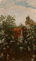 z bawełny z Wyżyn - Winslow Homer — widok dzieła