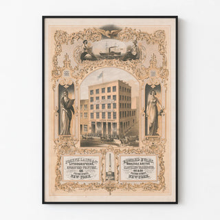 advertisement