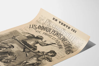 affiche-de-libraire-pour-les-scenes-de-la-vie-privee-et-publique-des-animaux