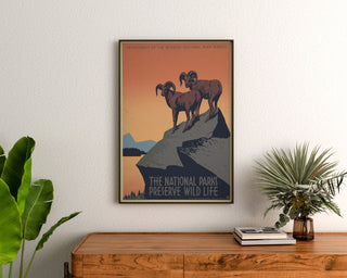 Plakat vintage National Parks Preserve Wild Life, oprawiony nad drewnianą komodą, między roślinami.