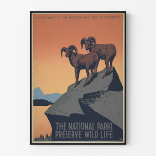 Plakat vintage National Parks Preserve Wild Life, w cienkiej ramie na jasnej ścianie.