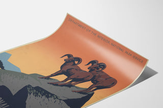 Plakat vintage National Parks Preserve Wild Life, pokazany na lekko zwiniętej kartce, widok w perspektywie.