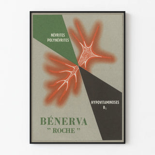 benerva