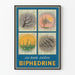 Plakat vintage BIPHEDRINE kalendarz sezonowy