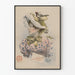 Plakat vintage Portret Blanche Gaspard w kwiecistym kostiumie