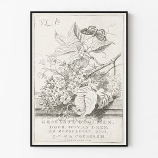 bloemenstudie-met-vlinder