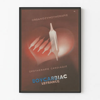 bovcardiac-lefrancq-2