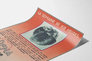 carena-ouabaine