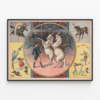 circus-horses-and-trainer