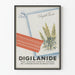 Plakat vintage Digilanide Digitalis Lanata Sandoz