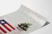 Plakat vintage Discover America Worldnet telewizja flaga
