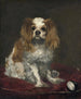 Un épagneul King Charles - Édouard Manet — widok dzieła