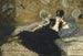 Kobieta z wachlarzami - Édouard Manet — widok dzieła