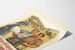 Plakat wydarzenia Emmentalisches Schwingfest Heimiswil 1951