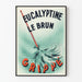 Plakat vintage Eucalyptine Le Brun przypinka dekoracja ścienna