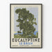 Plakat vintage Eucalyptine Le Brun - Dekoracja ścienna natura