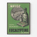 Plakat vintage Eucalyptine Le Brun dekoracja ścienna retro
