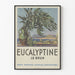 Plakat vintage Eucalyptine Le Brun dekoracja ścienna botaniczna