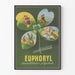 Plakat vintage Euphoryl desensytyzacyjny wielozadaniowy