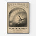 Plakat vintage Fajerwerki Sanderson & Lanergan Pyrotechnics