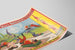 Plakat vintage Forepaugh & Sells Brothers - Rodzina akrobatów Carl Damann — widok dzieła