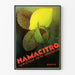 Plakat vintage Hamacitro dekoracja ścienna owoce i natura