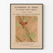 Plakat vintage Podręcznik ptaków Wschodniej Ameryki Północnej - Dekoracja ścienna z motywem ornitologicznym
