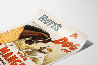 hoyts-a-dog-in-the-manger