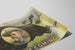 Plakat vintage I Am Coming Colonel W.F. Cody — widok dzieła