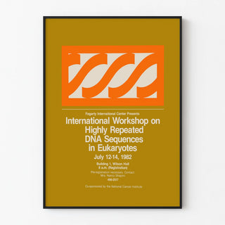 international-workshop-on-highly-repeated-dna-sequences-in-eukaryotes