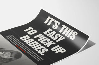 its-this-easy-to-pick-up-rabies