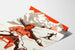 Plakat vintage Gry i Sporty zimowe