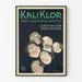 Plakat Vintage Kali Klor Dentifrice Parfaite