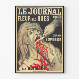 le-journal-fleur-des-rues