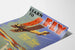 Plakat vintage nauki pilotowania Curtiss-Wright