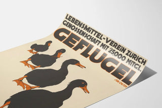 lebensmittel-verein-zurich-genossenschaft-mit-25000-mitgliedern-geflugel-st-annahof