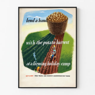 lend-a-hand-with-the-potato-harvest-at-a-farming-holiday-camp