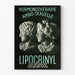 Plakat vintage terapii hormonalnej ambo-seksualnej Lipocrinyl Derol