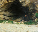 Le vagabond - Émile Friant — widok dzieła