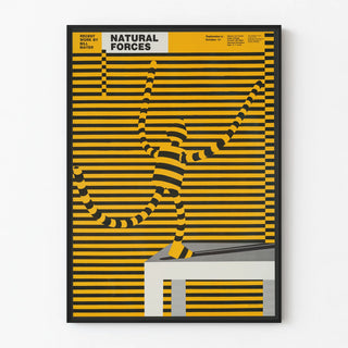 national-forces-2