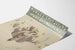 Plakat vintage narciarski Norges Skiforbund Elverum 1920