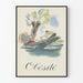Plakat vintage otyłość ilustracja kajakarstwo