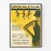 Plakat vintage Opocalcium do dekoracji ściennych zdrowia