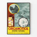 Plakat Vintage Organotiol Siarka Naturalna Dekoracja Ścienna Naukowa