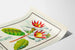 Plakat botaniczny vintage z kwiatem Strophanthus gratus Ouabaïne Arnaud