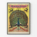 Plakat w stylu vintage pawie kotwica buggy Co.