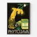 Plakat reklamowy vintage Phytojava Medycyna Naturalna