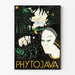 Dekoracyjny plakat vintage botaniczny PhytoJava i portret kobiecy