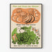 Plakat vintage dekoracja ścienna warzywa zimowe do uprawy