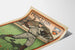 Plakat vintage Princeton baseballista